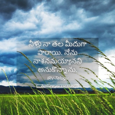 Picture 05 - విలాపవాక్యాలు 3:54 TELIRV - నీళ్లు నా తల - Bible Verse Picture