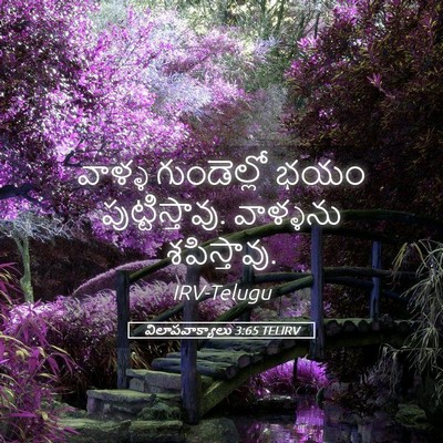 Picture 05 - విలాపవాక్యాలు 3:65 TELIRV - వాళ్ళ గుండెల్లో - Bible Verse Picture