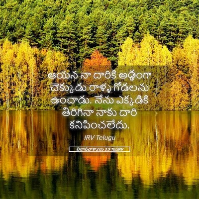 Picture 05 - విలాపవాక్యాలు 3:9 TELIRV - ఆయన నా దారికి - Bible Verse Picture