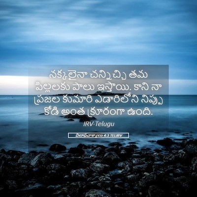 Picture 05 - విలాపవాక్యాలు 4:3 TELIRV - నక్కలైనా - Bible Verse Picture