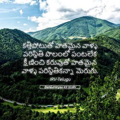 Picture 05 - విలాపవాక్యాలు 4:9 TELIRV - కత్తిపోటుతో హతమైన - Bible Verse Picture