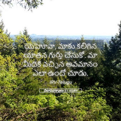 Picture 05 - విలాపవాక్యాలు 5:1 TELIRV - యెహోవా, మాకు - Bible Verse Picture