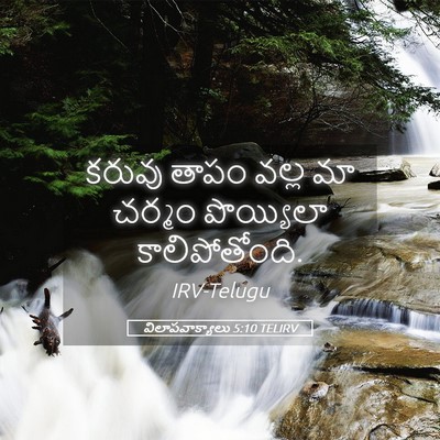Picture 05 - విలాపవాక్యాలు 5:10 TELIRV - కరువు తాపం వల్ల మా - Bible Verse Picture
