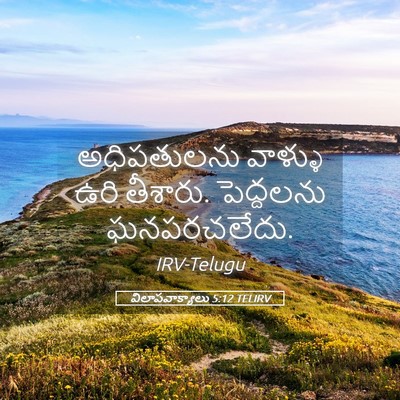 Picture 05 - విలాపవాక్యాలు 5:12 TELIRV - అధిపతులను వాళ్ళు - Bible Verse Picture
