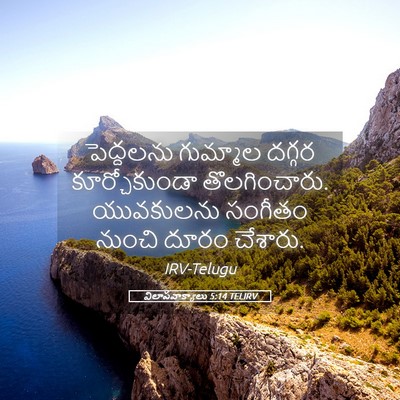 Picture 05 - విలాపవాక్యాలు 5:14 TELIRV - పెద్దలను గుమ్మాల - Bible Verse Picture