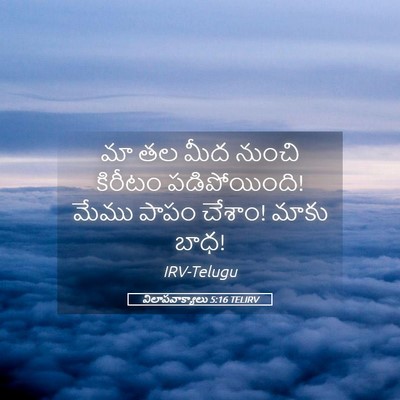 Picture 05 - విలాపవాక్యాలు 5:16 TELIRV - మా తల మీద నుంచి - Bible Verse Picture