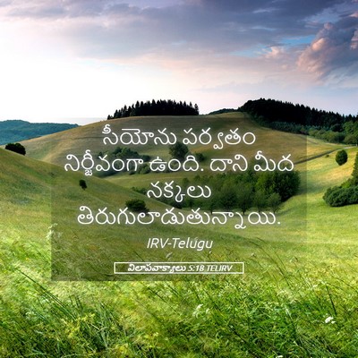 Picture 05 - విలాపవాక్యాలు 5:18 TELIRV - సీయోను పర్వతం - Bible Verse Picture
