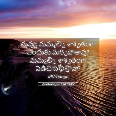 Picture 05 - విలాపవాక్యాలు 5:20 TELIRV - నువ్వు మమ్మల్ని - Bible Verse Picture