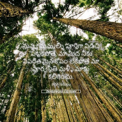 Picture 05 - విలాపవాక్యాలు 5:22 TELIRV - నువ్వు మమ్మల్ని - Bible Verse Picture