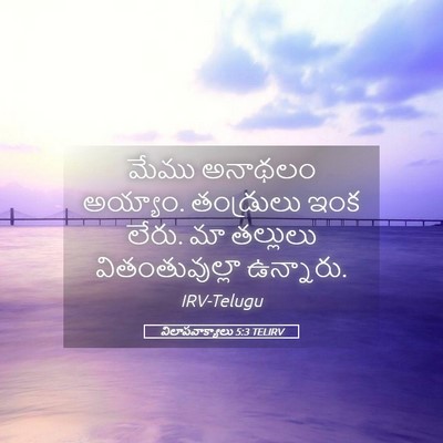 Picture 05 - విలాపవాక్యాలు 5:3 TELIRV - మేము అనాథలం - Bible Verse Picture