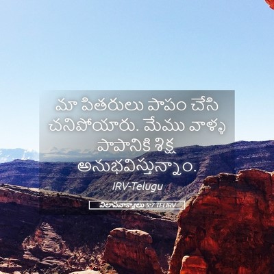 Picture 05 - విలాపవాక్యాలు 5:7 TELIRV - మా పితరులు పాపం - Bible Verse Picture