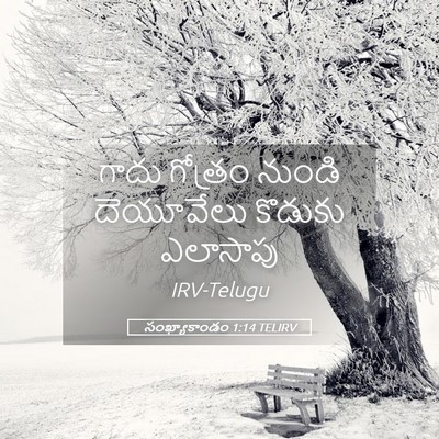 Picture 05 - సంఖ్యాకాండం 1:14 TELIRV - గాదు గోత్రం నుండి - Bible Verse Picture