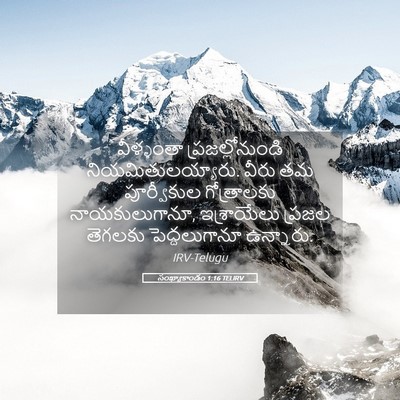 Picture 05 - సంఖ్యాకాండం 1:16 TELIRV - వీళ్ళంతా - Bible Verse Picture