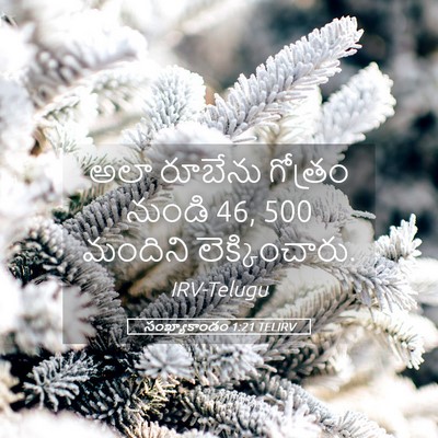 Picture 05 - సంఖ్యాకాండం 1:21 TELIRV - అలా రూబేను గోత్రం - Bible Verse Picture
