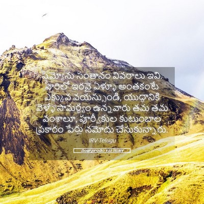 Picture 05 - సంఖ్యాకాండం 1:22 TELIRV - షిమ్యోను సంతానం - Bible Verse Picture