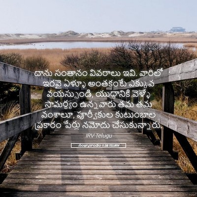 Picture 05 - సంఖ్యాకాండం 1:38 TELIRV - దాను సంతానం - Bible Verse Picture