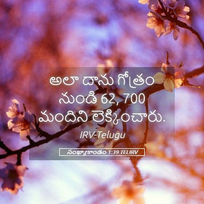 Picture 05 - సంఖ్యాకాండం 1:39 TELIRV - అలా దాను గోత్రం - Bible Verse Picture