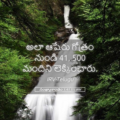 Picture 05 - సంఖ్యాకాండం 1:41 TELIRV - అలా ఆషేరు గోత్రం - Bible Verse Picture