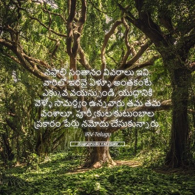 Picture 05 - సంఖ్యాకాండం 1:42 TELIRV - నఫ్తాలి సంతానం - Bible Verse Picture