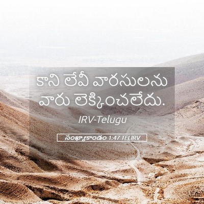 Picture 05 - సంఖ్యాకాండం 1:47 TELIRV - కాని లేవీ - Bible Verse Picture