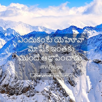 Picture 05 - సంఖ్యాకాండం 1:48 TELIRV - ఎందుకంటే యెహోవా - Bible Verse Picture