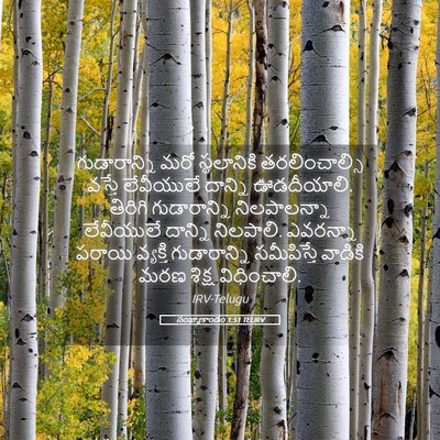 Picture 05 - సంఖ్యాకాండం 1:51 TELIRV - గుడారాన్ని మరో - Bible Verse Picture