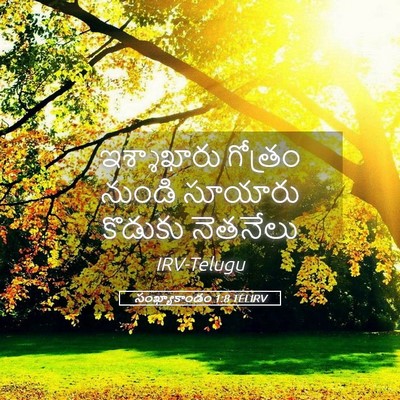 Picture 05 - సంఖ్యాకాండం 1:8 TELIRV - ఇశ్శాఖారు గోత్రం - Bible Verse Picture