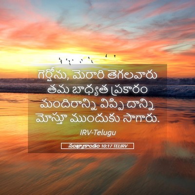 Picture 05 - సంఖ్యాకాండం 10:17 TELIRV - గెర్షోను, మెరారి - Bible Verse Picture