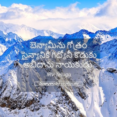Picture 05 - సంఖ్యాకాండం 10:24 TELIRV - బెన్యామీను గోత్రం - Bible Verse Picture