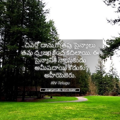 Picture 05 - సంఖ్యాకాండం 10:25 TELIRV - చివర్లో దాను - Bible Verse Picture