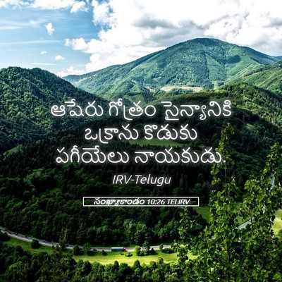 Picture 05 - సంఖ్యాకాండం 10:26 TELIRV - ఆషేరు గోత్రం - Bible Verse Picture