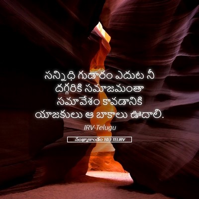 Picture 05 - సంఖ్యాకాండం 10:3 TELIRV - సన్నిధి గుడారం - Bible Verse Picture