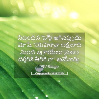 Picture 05 - సంఖ్యాకాండం 10:36 TELIRV - నిబంధన పెట్టె - Bible Verse Picture