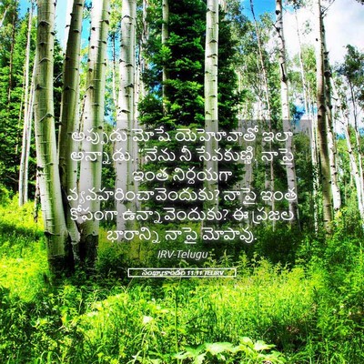 Picture 05 - సంఖ్యాకాండం 11:11 TELIRV - అప్పుడు మోషే - Bible Verse Picture