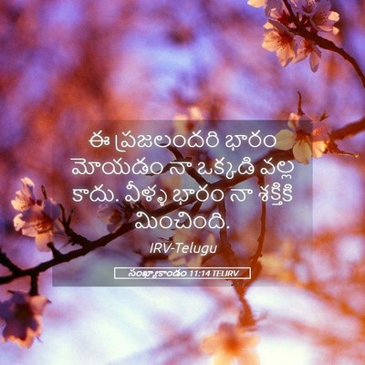 Picture 05 - సంఖ్యాకాండం 11:14 TELIRV - ఈ ప్రజలందరి భారం - Bible Verse Picture