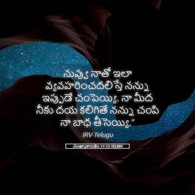 Picture 05 - సంఖ్యాకాండం 11:15 TELIRV - నువ్వు నాతో ఇలా - Bible Verse Picture