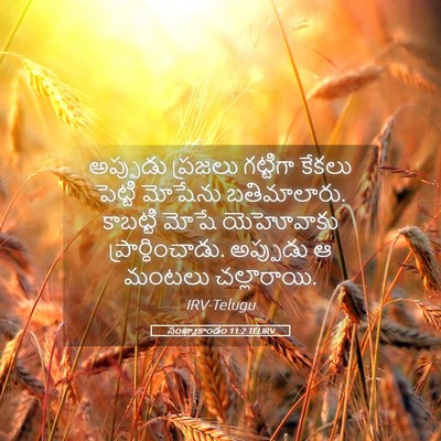 Picture 05 - సంఖ్యాకాండం 11:2 TELIRV - అప్పుడు ప్రజలు - Bible Verse Picture