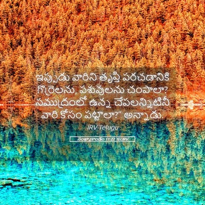 Picture 05 - సంఖ్యాకాండం 11:22 TELIRV - ఇప్పుడు వారిని - Bible Verse Picture