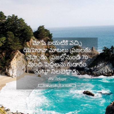 Picture 05 - సంఖ్యాకాండం 11:24 TELIRV - మోషే బయటికి వచ్చి - Bible Verse Picture