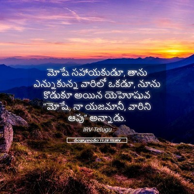 Picture 05 - సంఖ్యాకాండం 11:28 TELIRV - మోషే సహాయకుడూ, - Bible Verse Picture