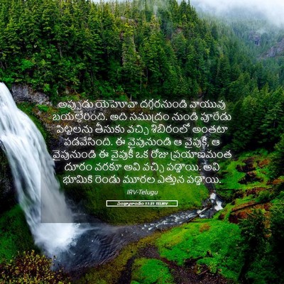 Picture 05 - సంఖ్యాకాండం 11:31 TELIRV - అప్పుడు యెహోవా - Bible Verse Picture