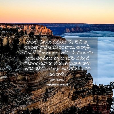 Picture 05 - సంఖ్యాకాండం 11:32 TELIRV - కాబట్టి ప్రజలు - Bible Verse Picture