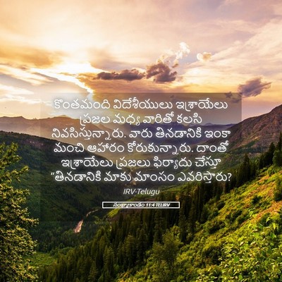 Picture 05 - సంఖ్యాకాండం 11:4 TELIRV - కొంతమంది - Bible Verse Picture