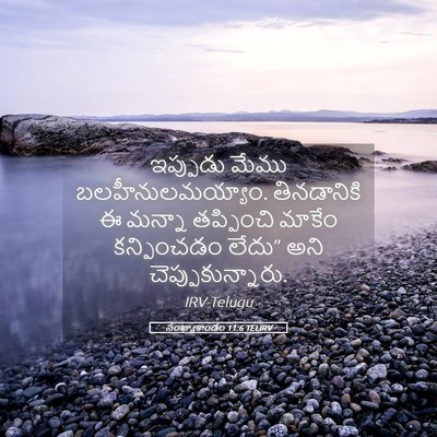 Picture 05 - సంఖ్యాకాండం 11:6 TELIRV - ఇప్పుడు మేము - Bible Verse Picture