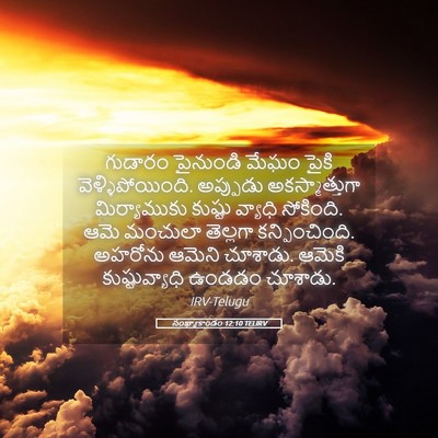 Picture 05 - సంఖ్యాకాండం 12:10 TELIRV - గుడారం పైనుండి - Bible Verse Picture