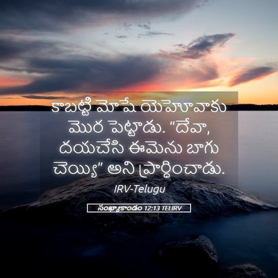 Picture 05 - సంఖ్యాకాండం 12:13 TELIRV - కాబట్టి మోషే - Bible Verse Picture