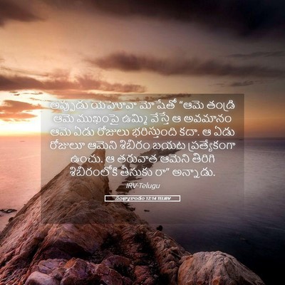 Picture 05 - సంఖ్యాకాండం 12:14 TELIRV - అప్పుడు యెహోవా - Bible Verse Picture