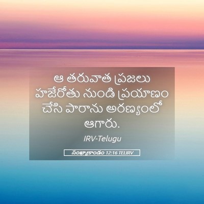 Picture 05 - సంఖ్యాకాండం 12:16 TELIRV - ఆ తరువాత ప్రజలు - Bible Verse Picture