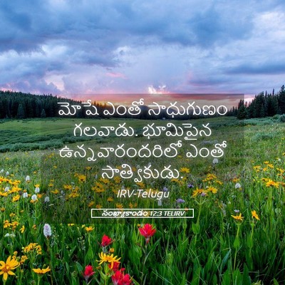 Picture 05 - సంఖ్యాకాండం 12:3 TELIRV - మోషే ఎంతో - Bible Verse Picture
