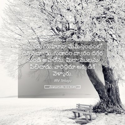 Picture 05 - సంఖ్యాకాండం 12:5 TELIRV - అప్పుడు యెహోవా - Bible Verse Picture